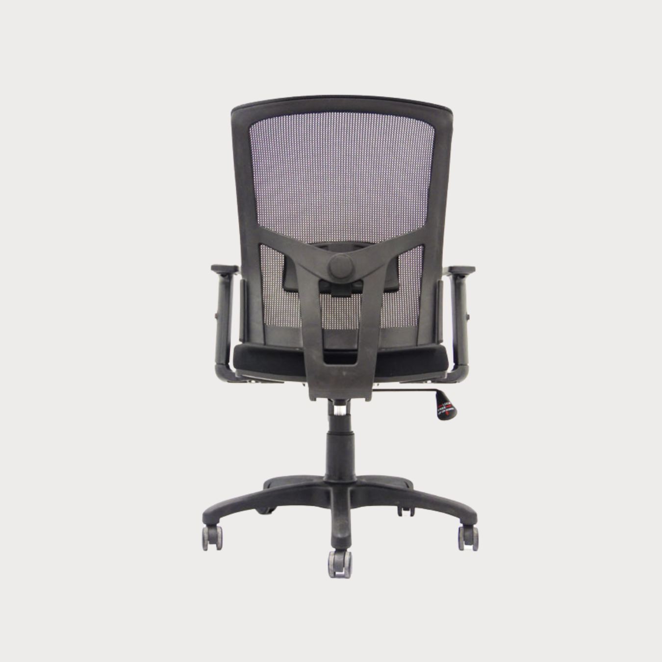 Silla Stonia